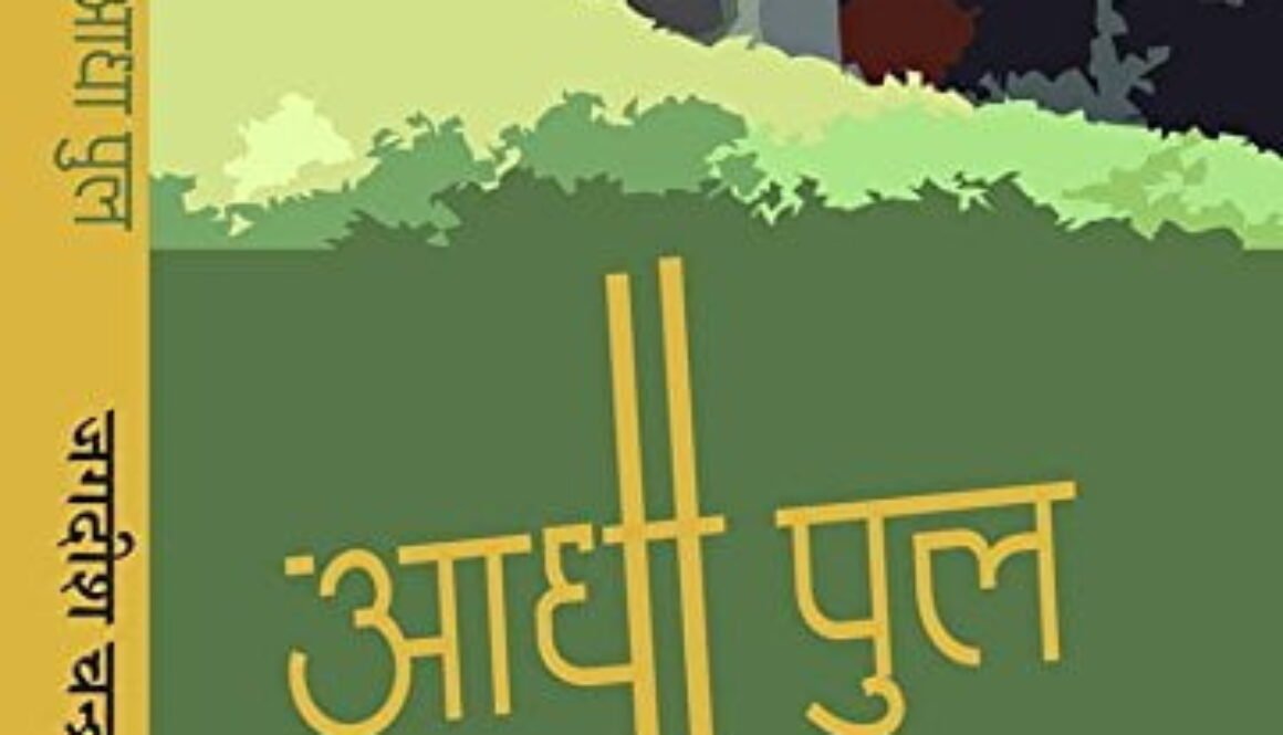 आधा पुल