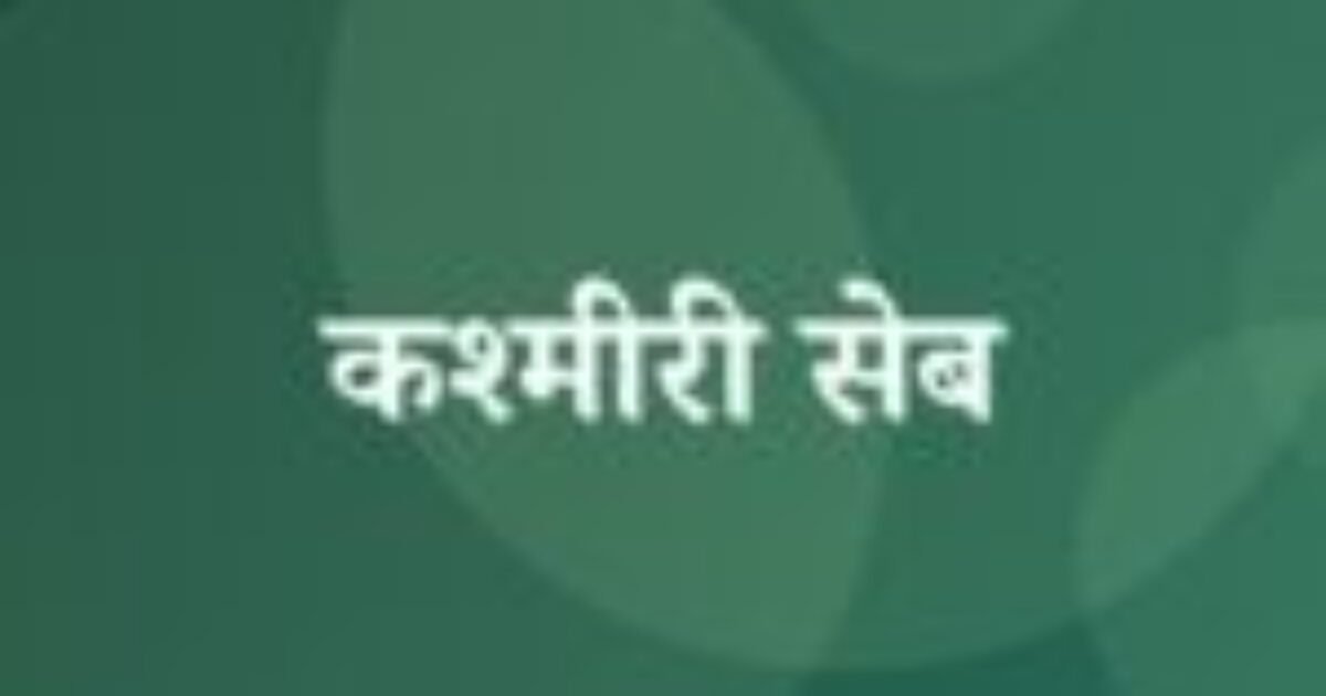 कश्मीरी सेब (featured image) कश्मीरी सेब