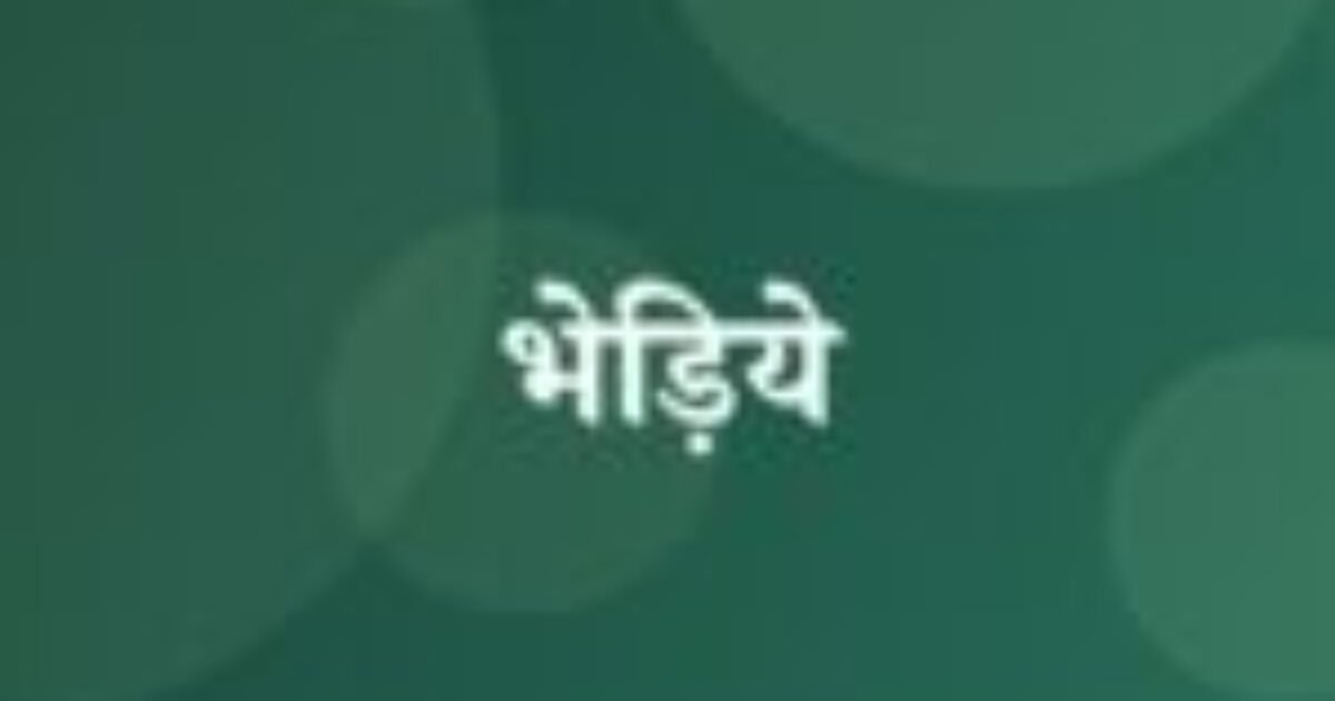भेड़िये (featured image) भेड़िये