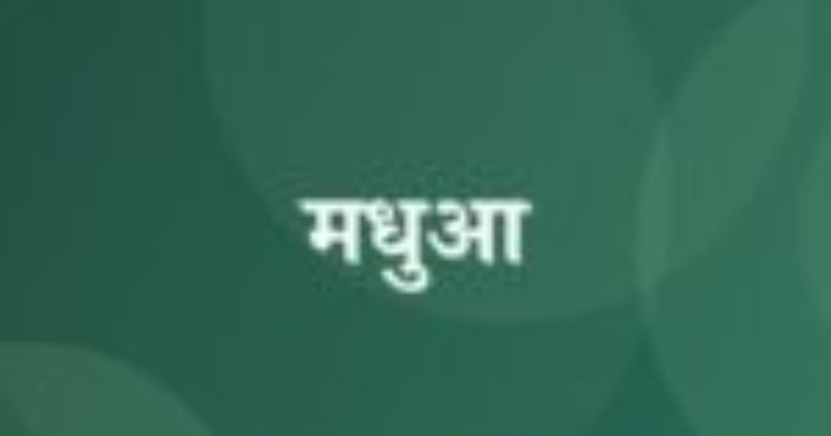मधुआ (featured image) मधुआ