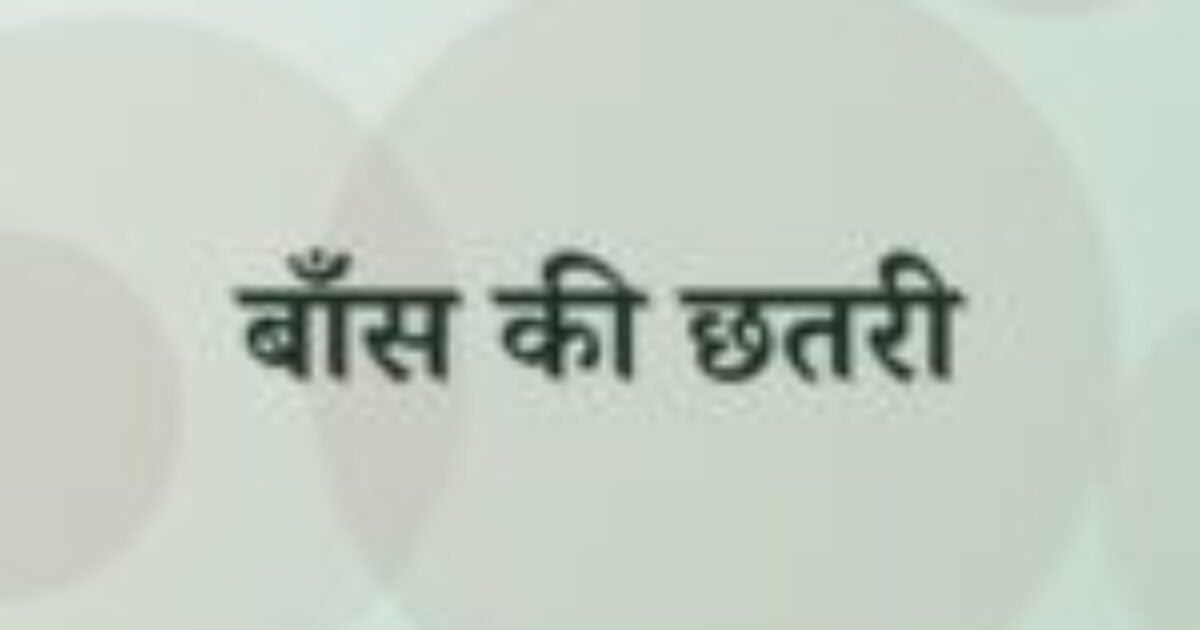 बाँस की छतरी (featured image) बाँस की छतरी